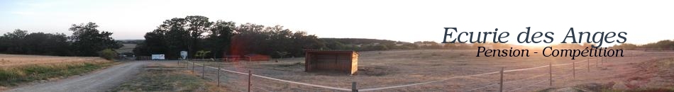 Ecurie des Anges